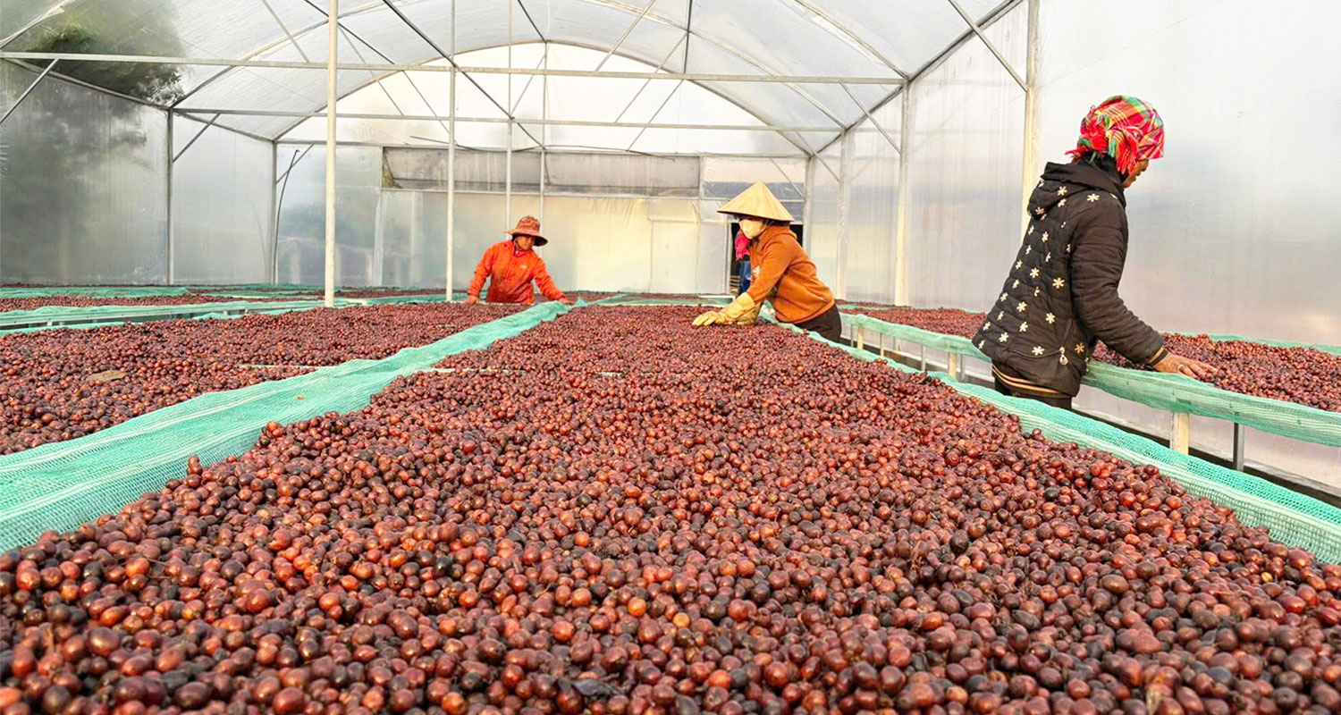 Xã Khe Sanh cần tạo gần 15.000 cơ hội việc làm cho lao động qua đào tạo