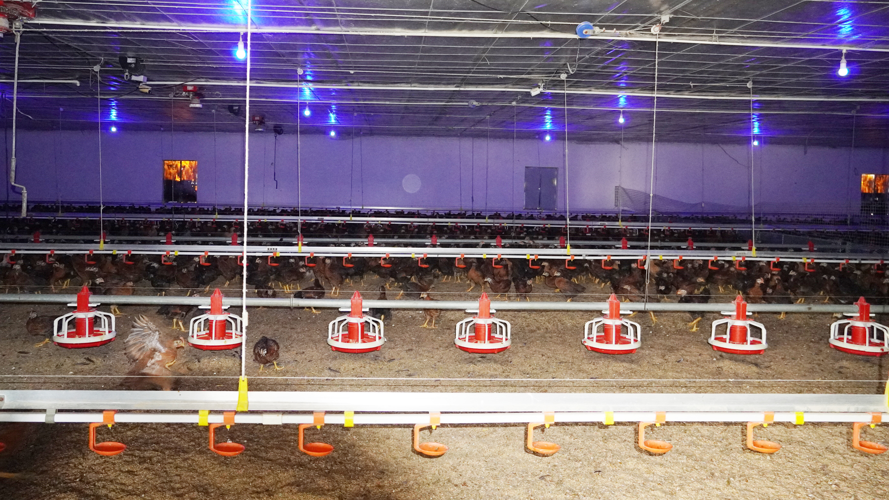 Nâng cao vị thế, năng lực nông dân xã Bến Quan trong phát triển nông nghiệp và xây dựng nông thôn mới