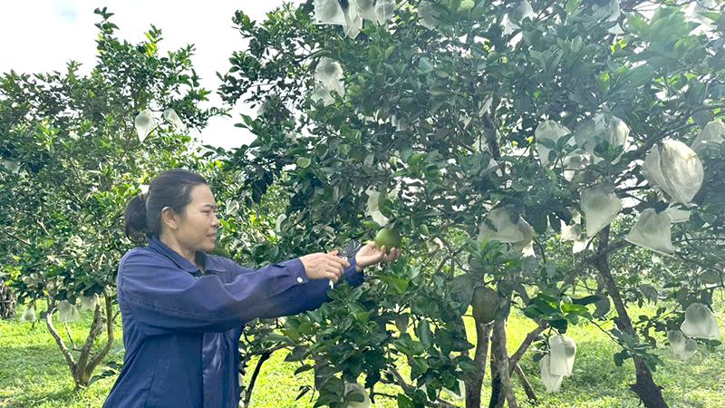 Lan tỏa tinh thần "làm theo" Bác