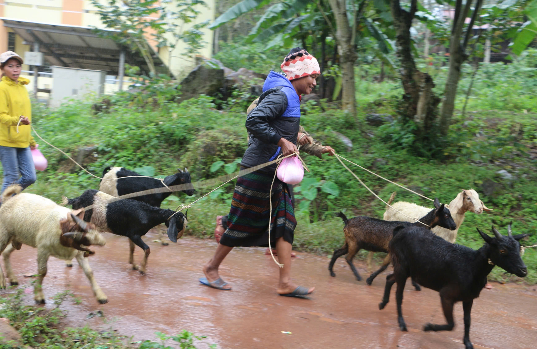 Hội Nông dân tỉnh: Phát huy vai trò đồng hành hỗ trợ nông dân phát triển sản xuất theo hướng bền vững