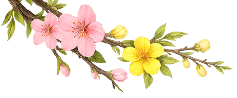 Chúc mừng năm mới